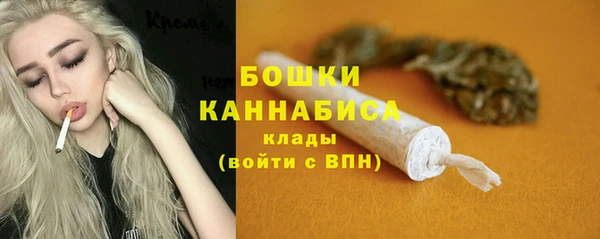 трава Аркадак