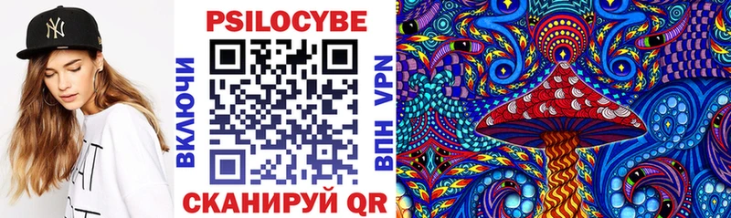закладка  Нижние Серги  Псилоцибиновые грибы мухоморы 